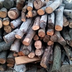 $200 For Full Bed Toyota Tacoma 5ftx5ft