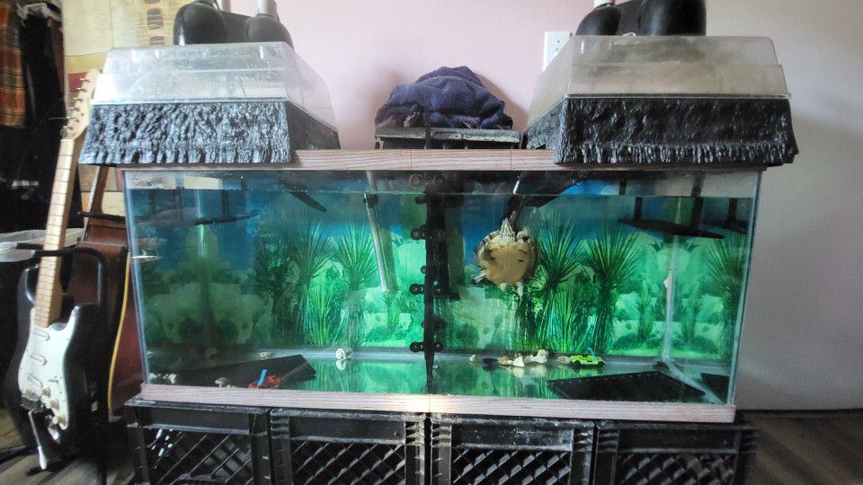4ft Aquarium, Filter, Heating Rods, 2 Tank Toppers, Food