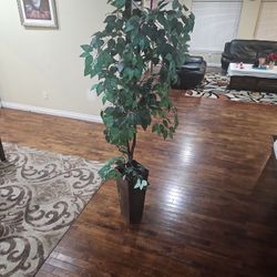 Faux Plant Looks Real