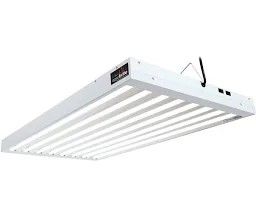 AgroBrite T5 Lights Vegetation