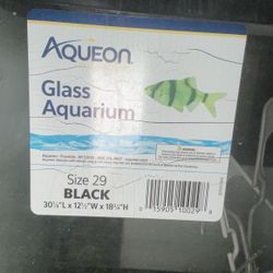 Glass Aquarium