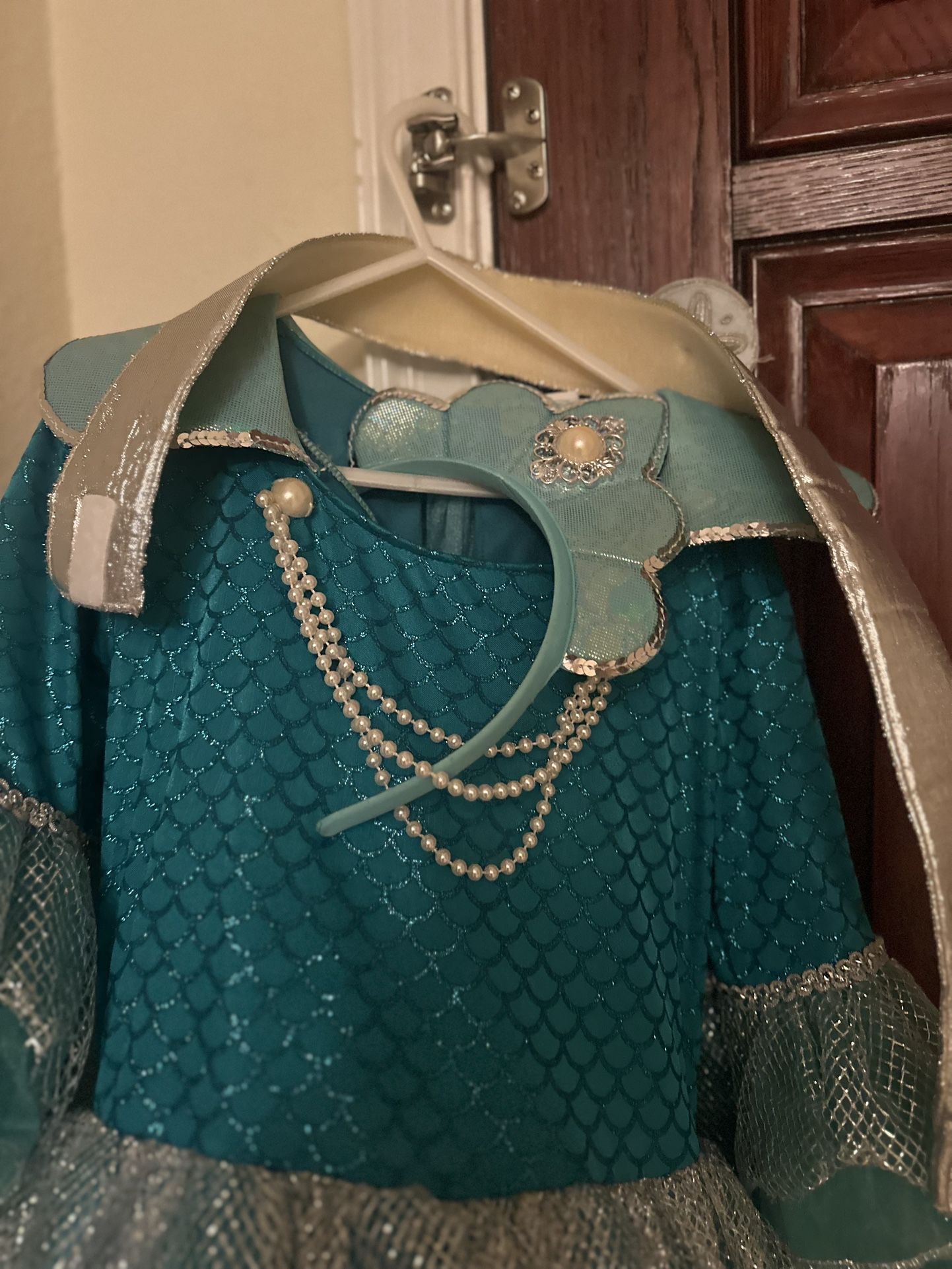 Beautiful mermaid Dress Costume