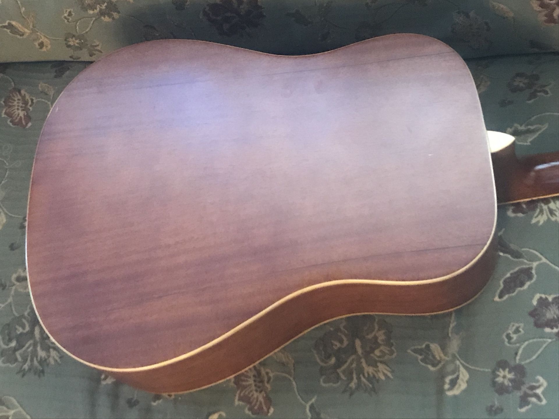 Brownsville acoustic guitar model dg100 (no case, only guitar) for