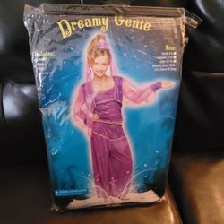 Child Dreamy Genie Costume- Large (12-14)