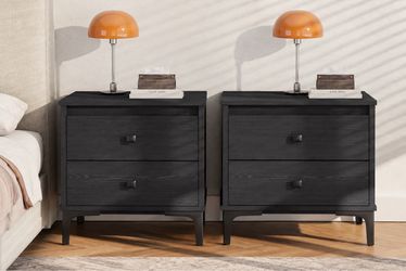 Black Wood 2-Drawer Nightstand Set of 2