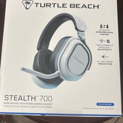 Turtle Beach