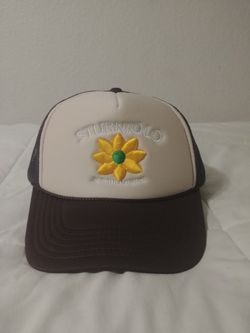 Sturniolo Triplets 2 Million Tan Hat