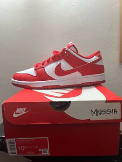 Nike dunks size 10.5 brand new
