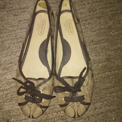 Coach  "Josie" flat.  Size 8m