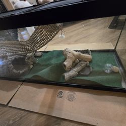 75 Gallon Terrarium -$150