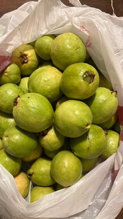 Guayaba en venta