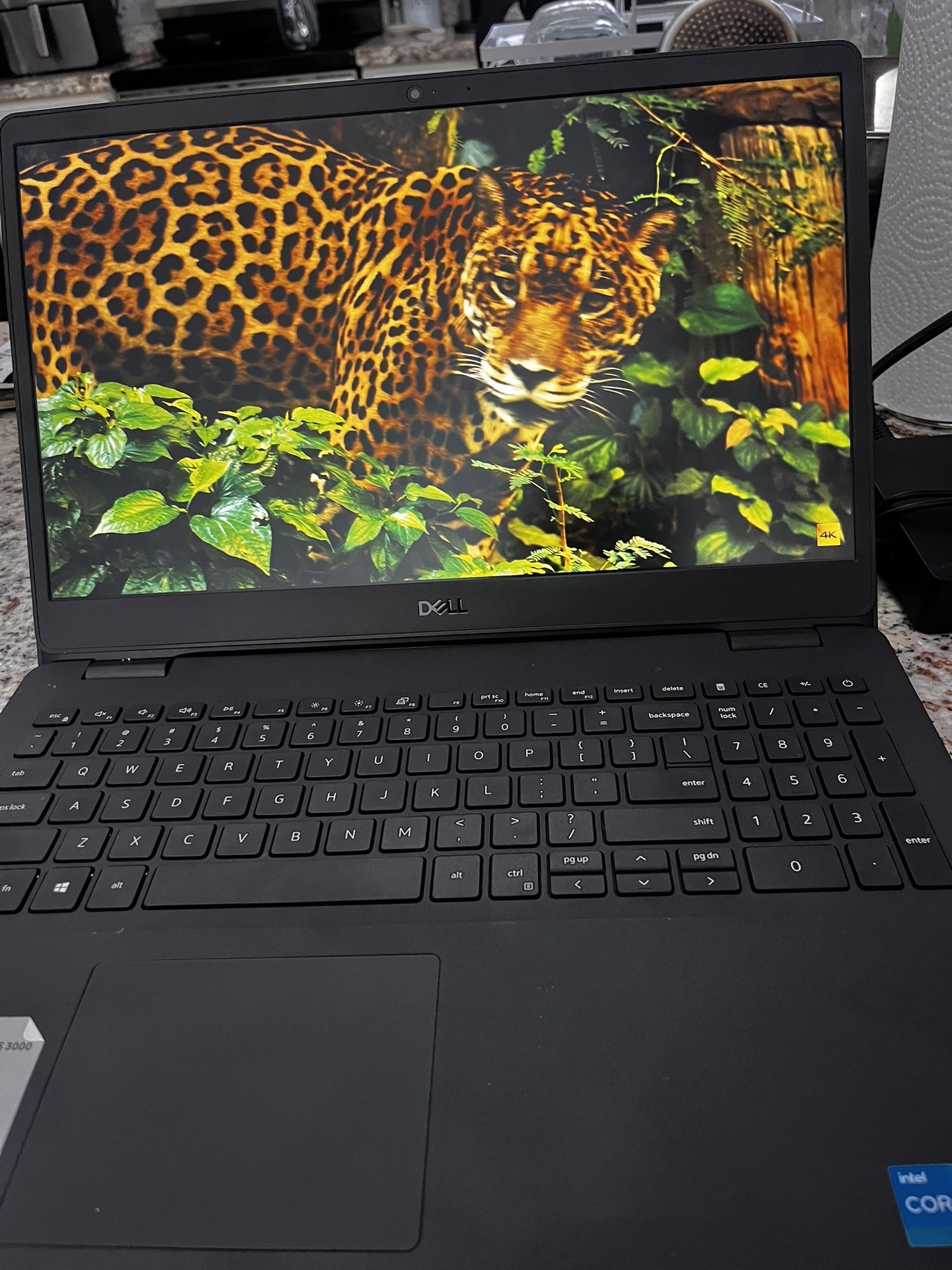 Dell Inspiron 15 3000 Laptop- Good Condition