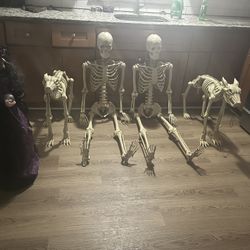 Halloween Stuff For Outside Excellent Condition 