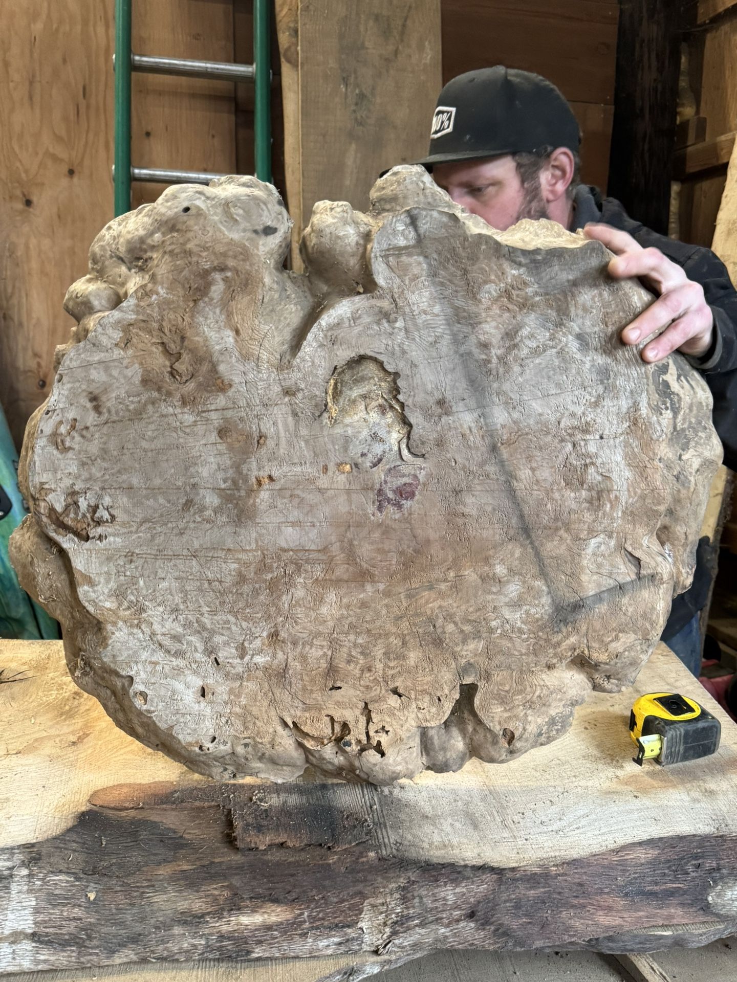 Pine Burl
