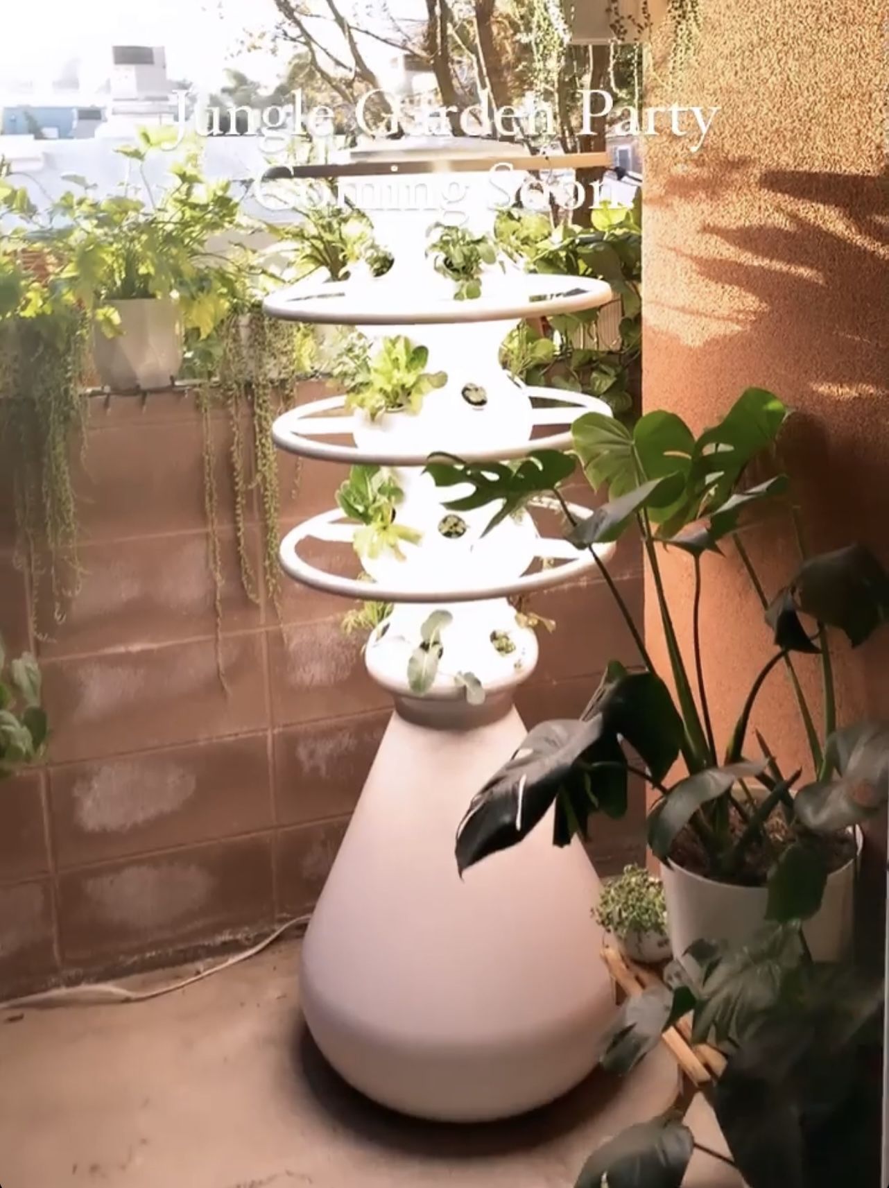 Farm Stand - Lettuce Grow For sale