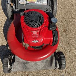 Lawnmower Briggs Stratton 