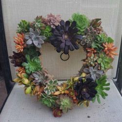 Home Decor Succulent Wreaths