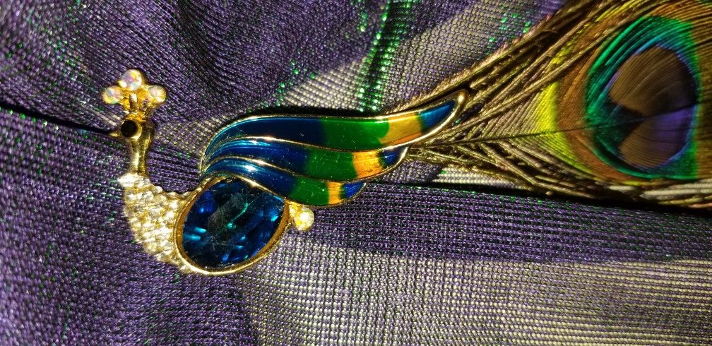 New - Peacock Feather Brooch