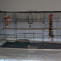 Bird Cage