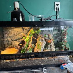 🐍 enclosure