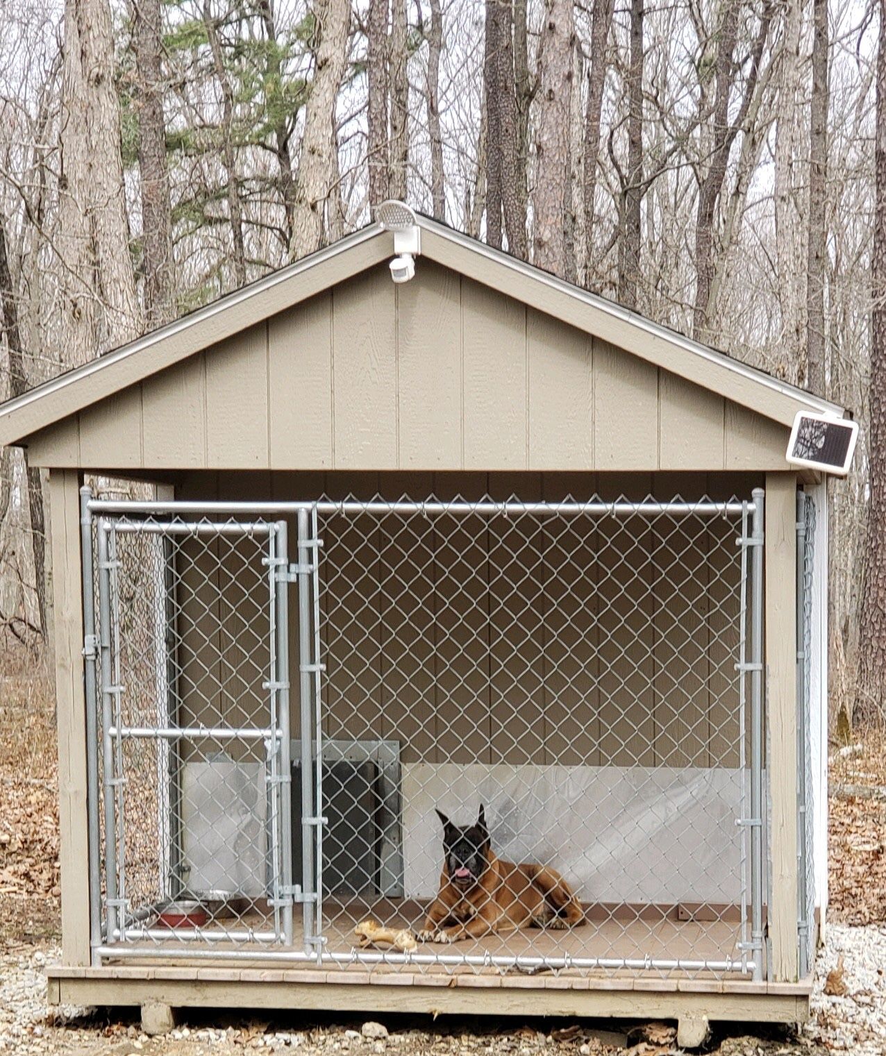 Dog shed and kennel