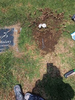 Burial plots