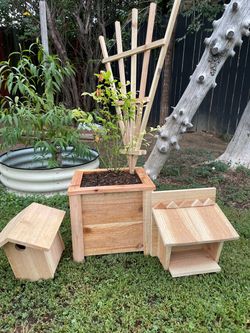 Garden starter kit