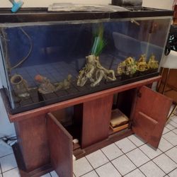 """" 60 Gallon Fish W/ Extras """"