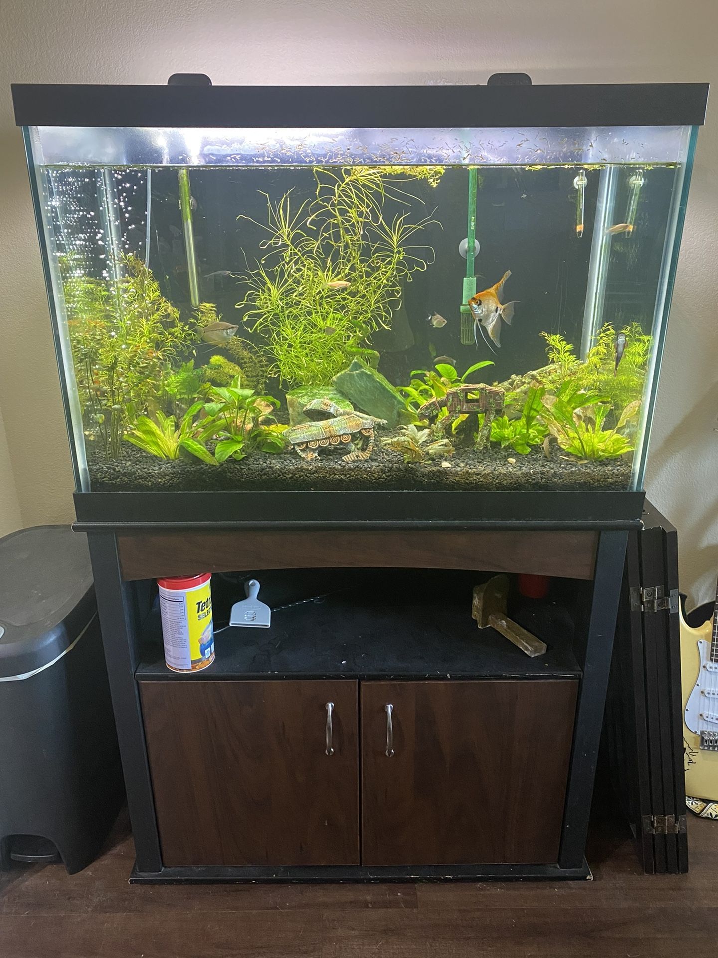 65 Gallon Fish Tank With Stand. for Sale in Dallas, TX - OfferUp 65 Gallon Fish Tank With Stand. for Sale in Dallas, TX - OfferUp