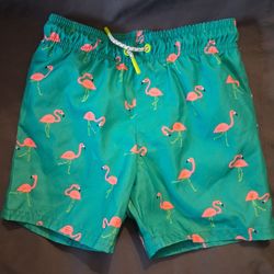 Kids Swim Trunks 