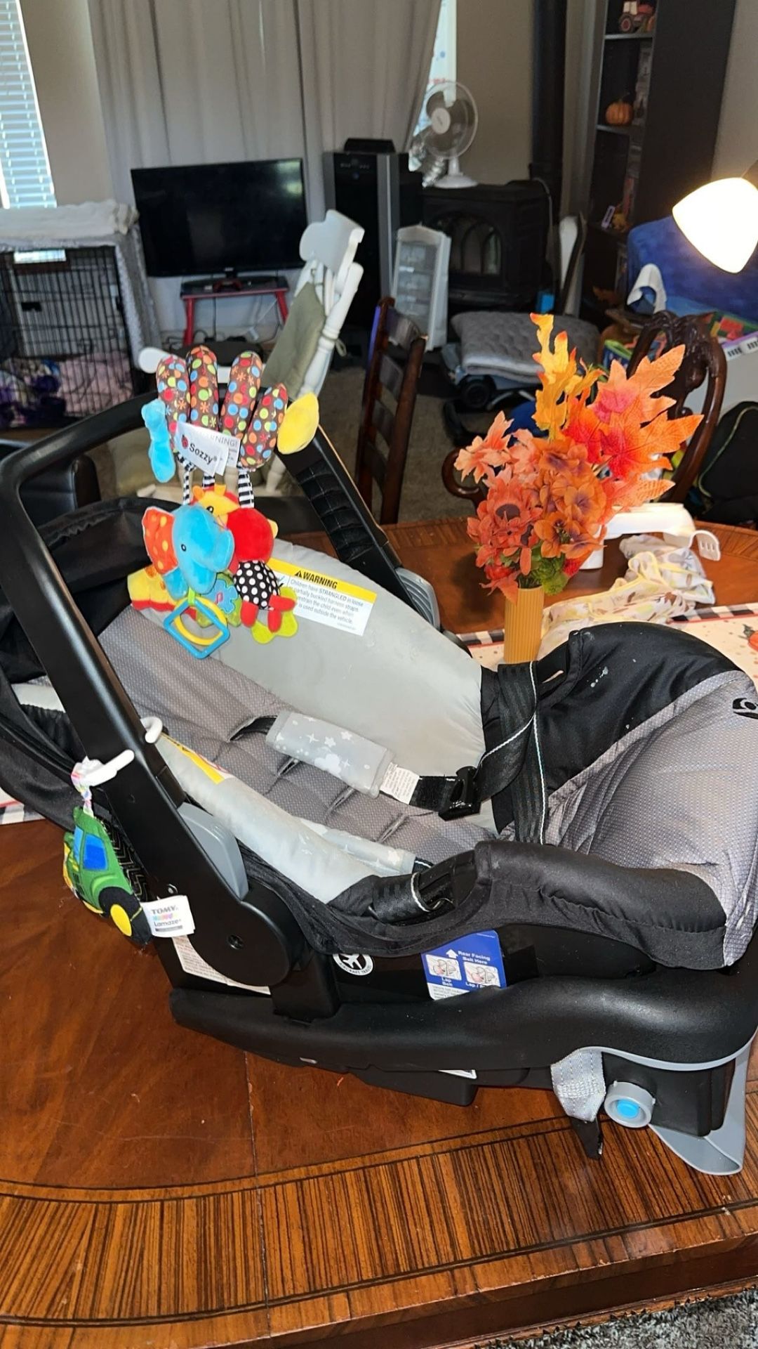 Baby Trend Infant Car Seat 