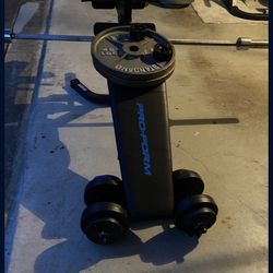 Pro Form  Weight Bench 