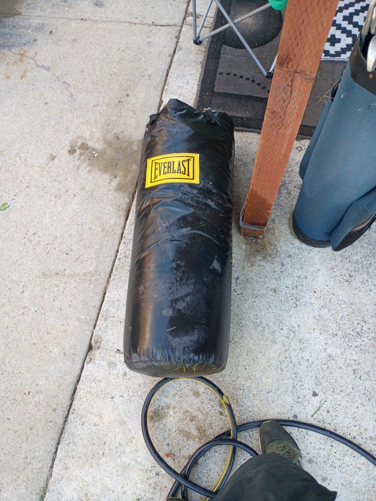 Everlast Punching Bags 