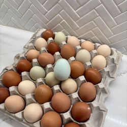 Farm Fresh Eggs