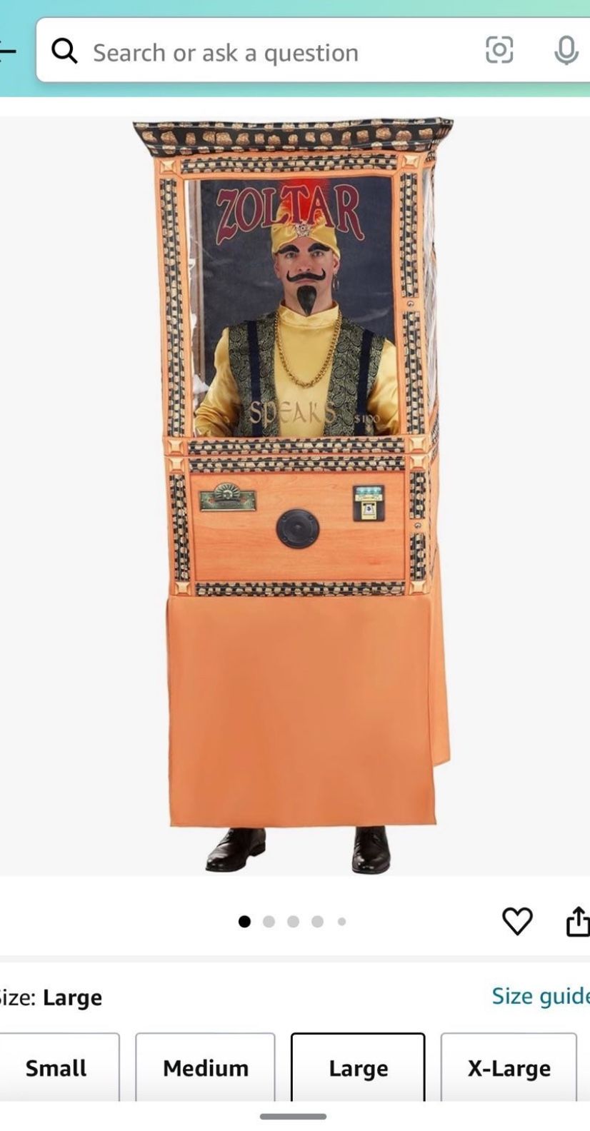 Zoltar Costume