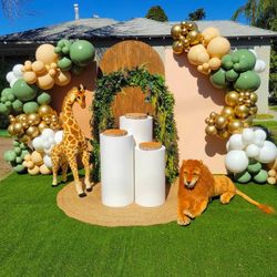 Balloons With Backdrop