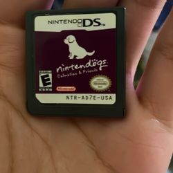 Nintendo Dalmation And Friends Ds