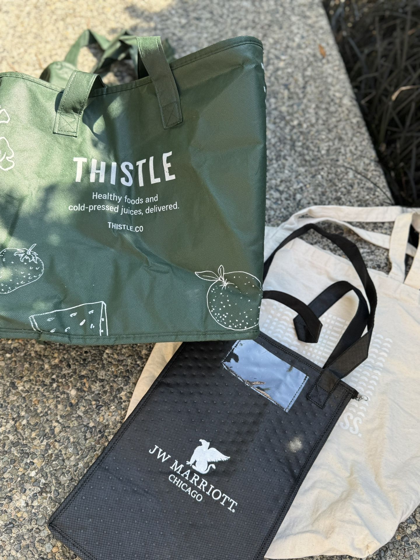 Re-Use Food Carrier Bags/Thermal Bag Lot