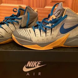 Michigan Nikes Sz10.5