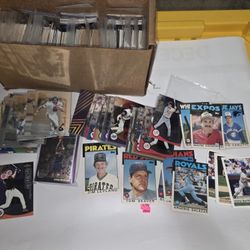 1,500+ Sports Cards