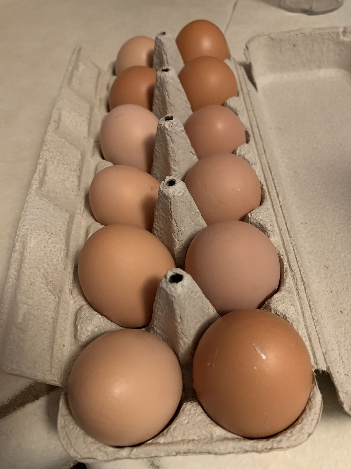 Farm fresh eggs