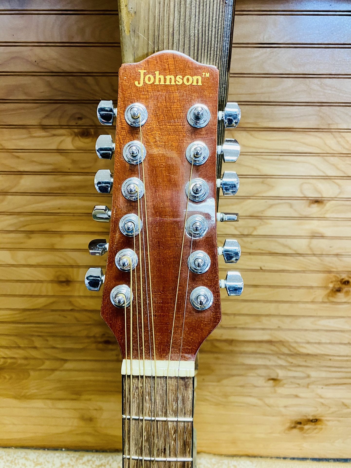 Johnson 12 string guitar deals