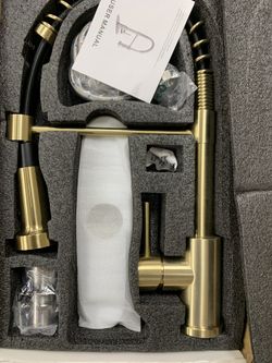 ZFH -2011LSJ-Brushed Gold Kitchen Faucet