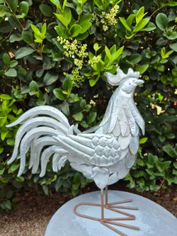 Rooster
