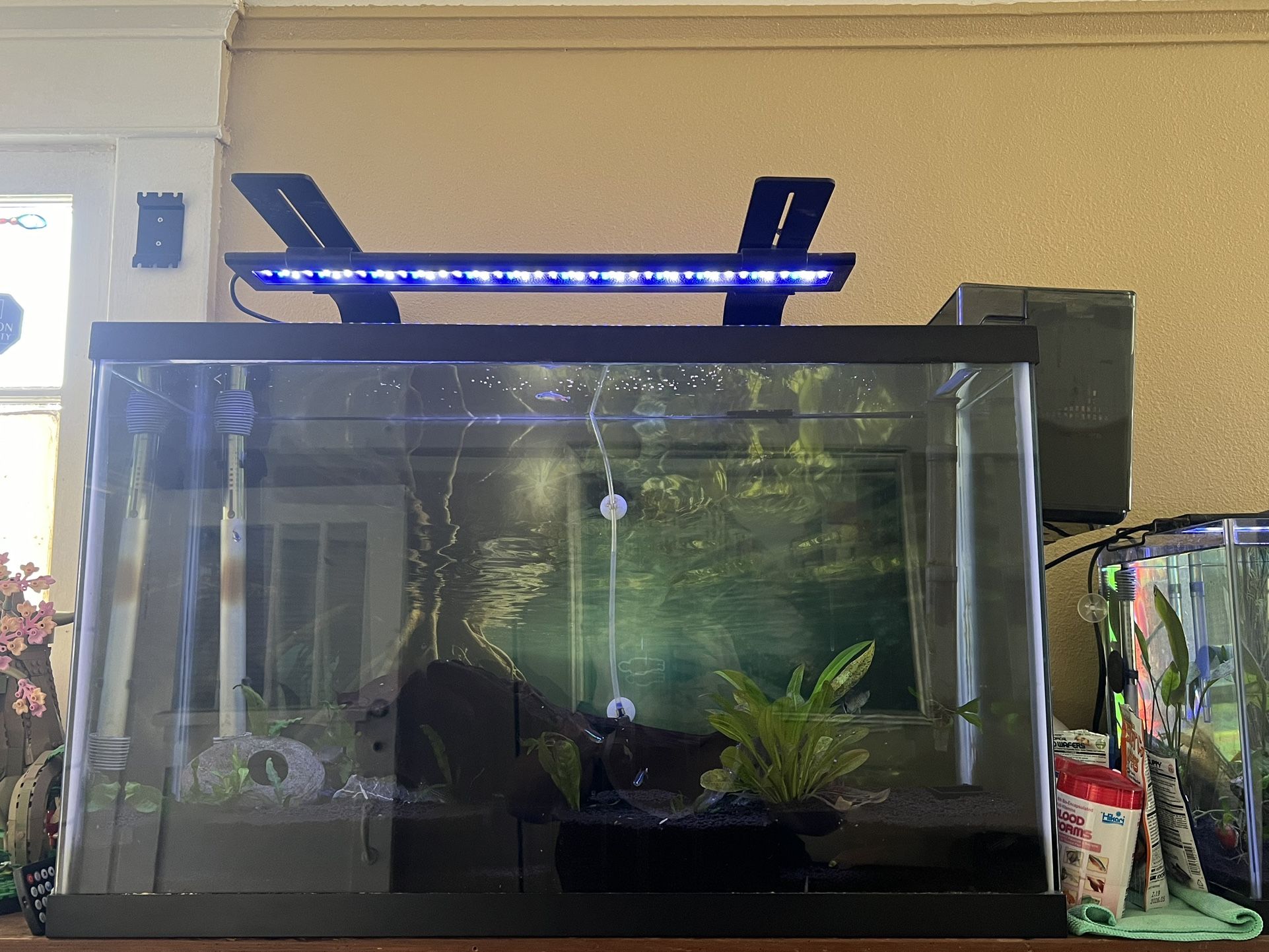 30G Tank