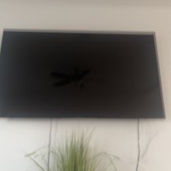 Samsung 65in TV