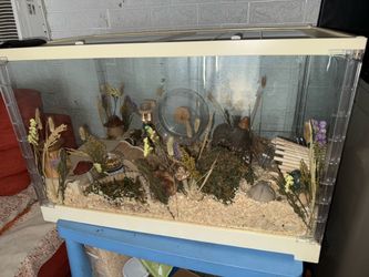 Niteangel enclosure
