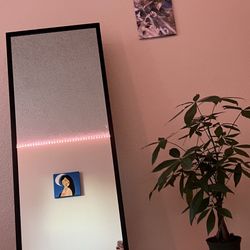 Full Body Mirror 