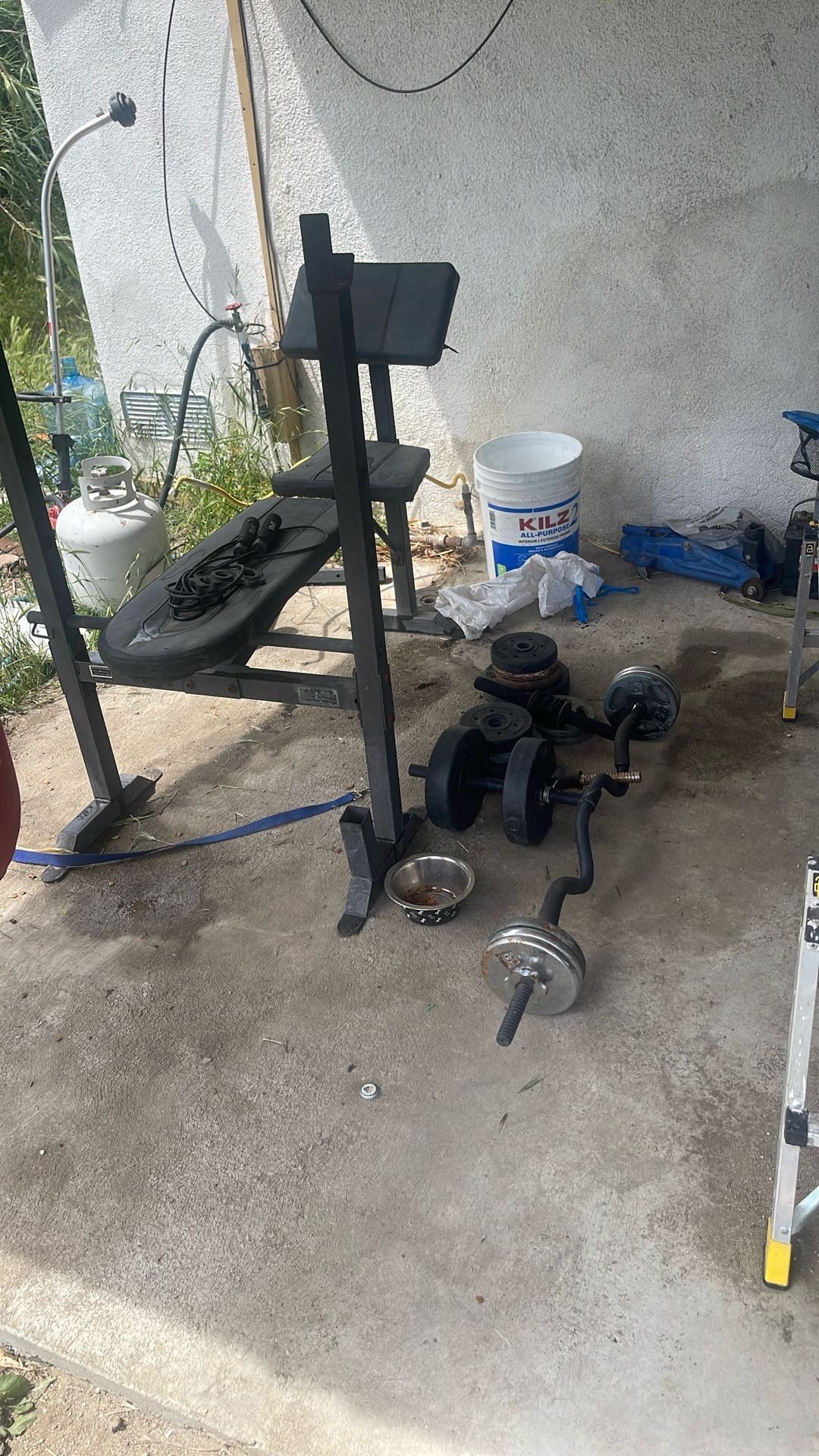 Weight Bench With Weights