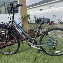 Trek Bike
